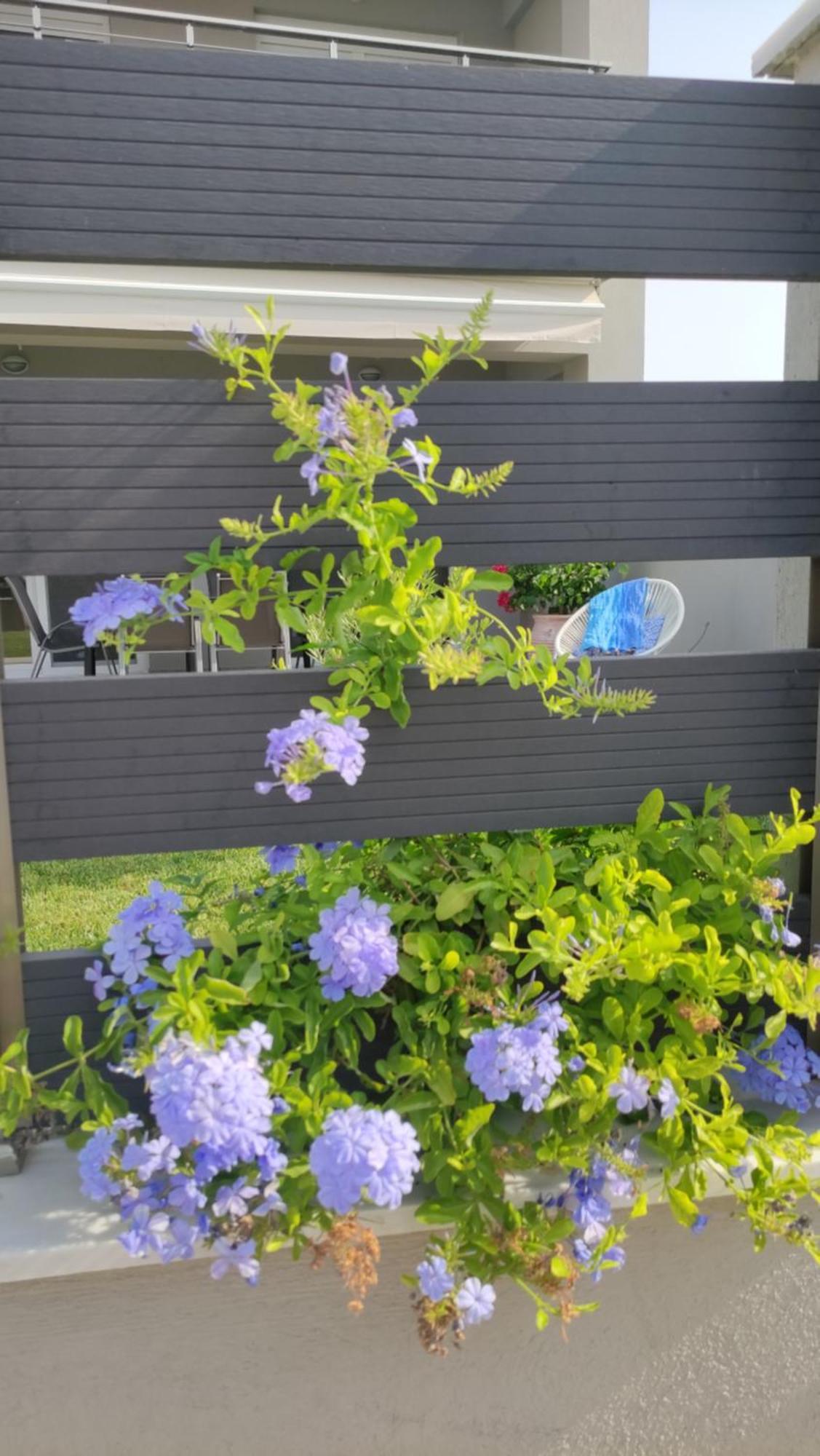 To Helidoni Apartment & Gardens Nikíti Eksteriør bilde